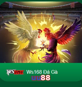 uu88